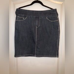 JAG JEANS—Blue Denim Skirt, 10, Pull-On Style, Medium Wash, Excellent Condition!